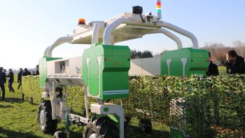En viticulture, les robots à maturité technologique