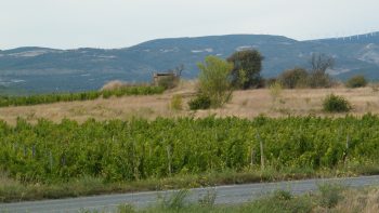 Dans l’Aude, on remet les friches en production