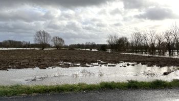 Les sols sont mis à rude épreuve