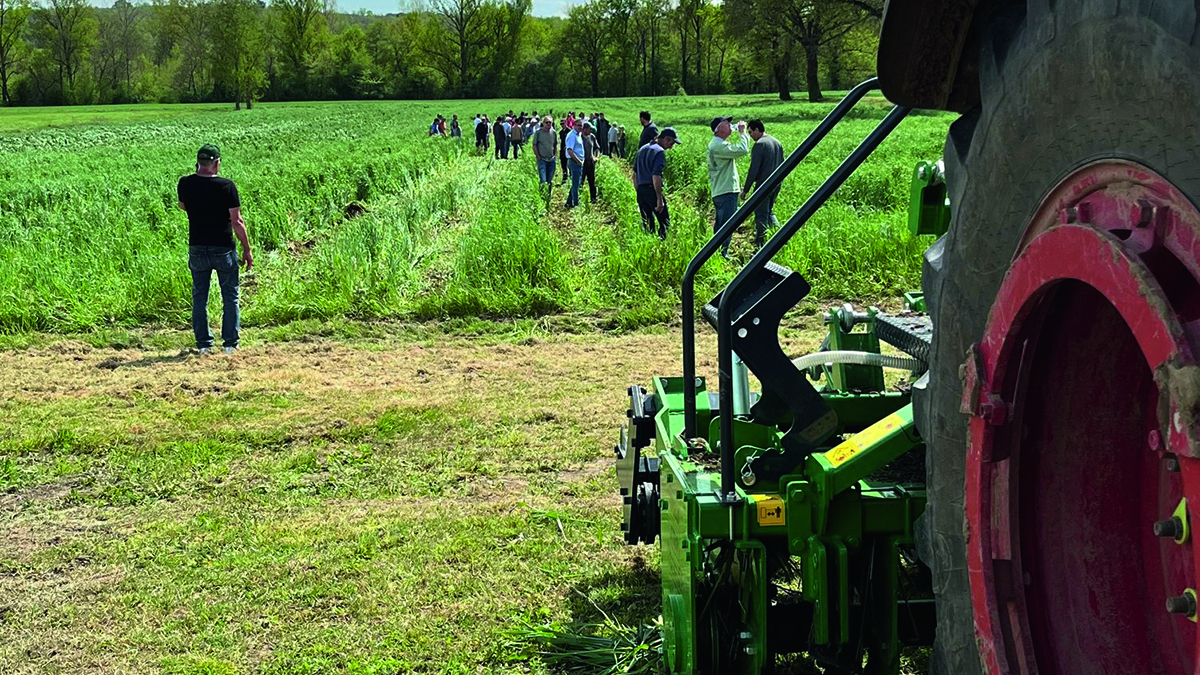 Le strip-till permet la conservation des sols.