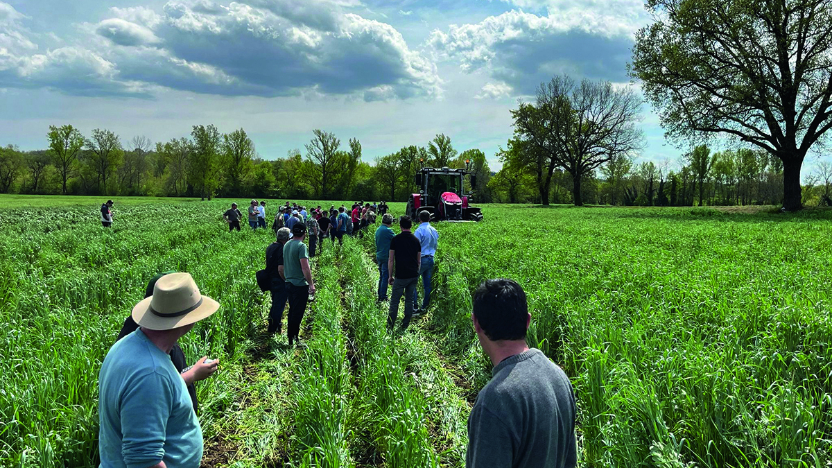 Démonstration sur le strip-till