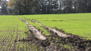 Évaluer les conséquences d’un automne très humide sur les sols normands