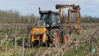 Retour sur la taille mécanisée de la vigne