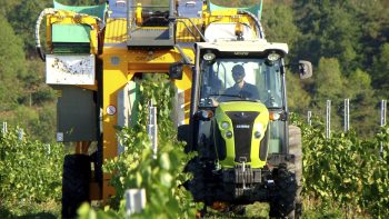 Une machine à vendanger pour s’adapter au changement climatique