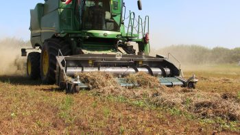 De la lentille bio ultralocale dans la restauration collective