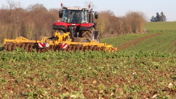 Travail du sol : réussir les cultures de printemps avec ou sans eau