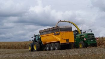 Faut-il opter pour l’ensilage de maïs épi ?