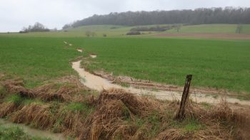 Le difficile hiver des agriculteurs