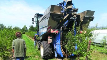 Diversification : le réseau cuma accompagne les viticulteurs