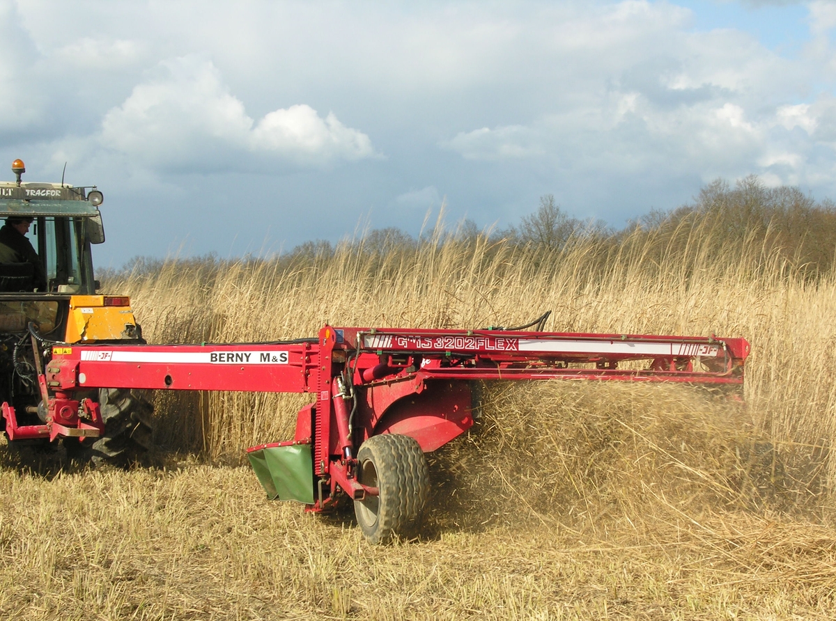 faucheuse dans le switchgrass