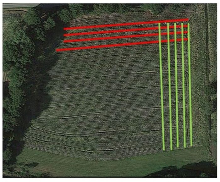 Sens de semis dans une parcelle avant désherbage mécanique