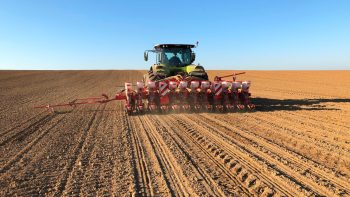 Les betteraviers restent dans l’impasse face à la jaunisse