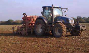 Moins de céréales à paille dans les campagnes en 2024