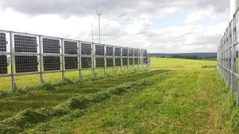 Un décret esquisse la complémentarité entre panneaux solaires et production agricole