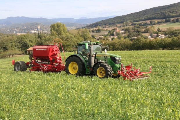 Le rouleau faca combiné au semoir pour un semis direct dans un couvert vivant