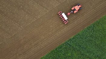 En agriculture, qui gagne quoi ?