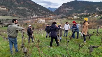 Les cuma en AuRA au coeur de la transition des systèmes