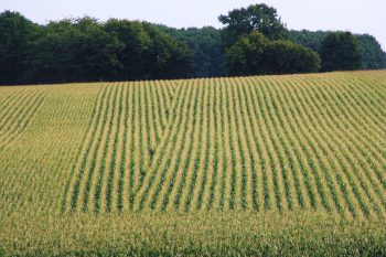Précision : plus de 10 000 € d&rsquo;économie avec Centipède