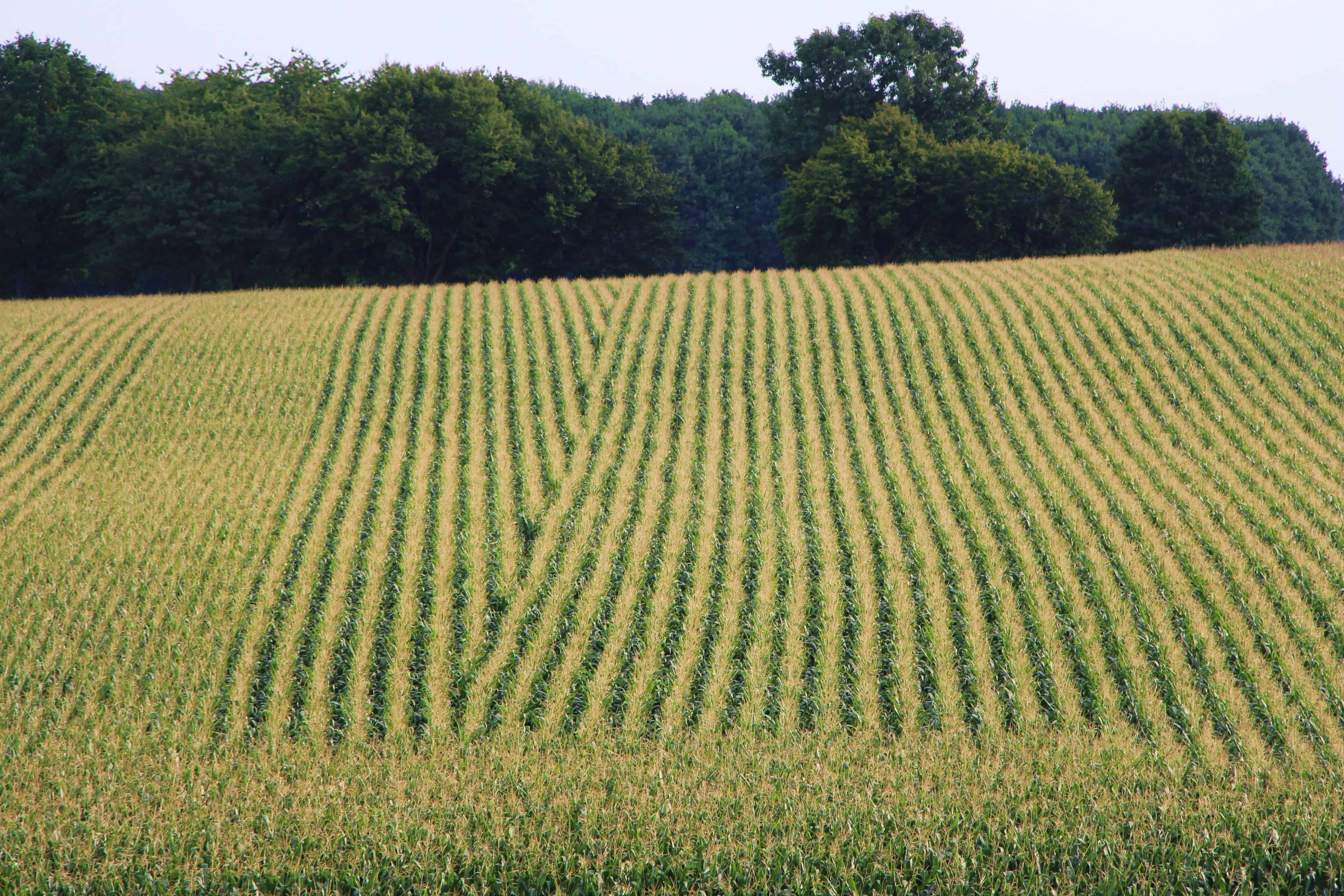 Réseau Centipède RTK
