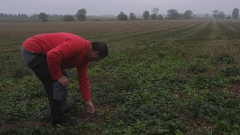 Agriculture de conservation des sols en zone sèche : « un gain de 10 à 15 jours d’eau »