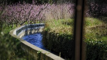 Irrigation dans les Pyrénées-Orientales : ça tangue chez les producteurs d’abricots