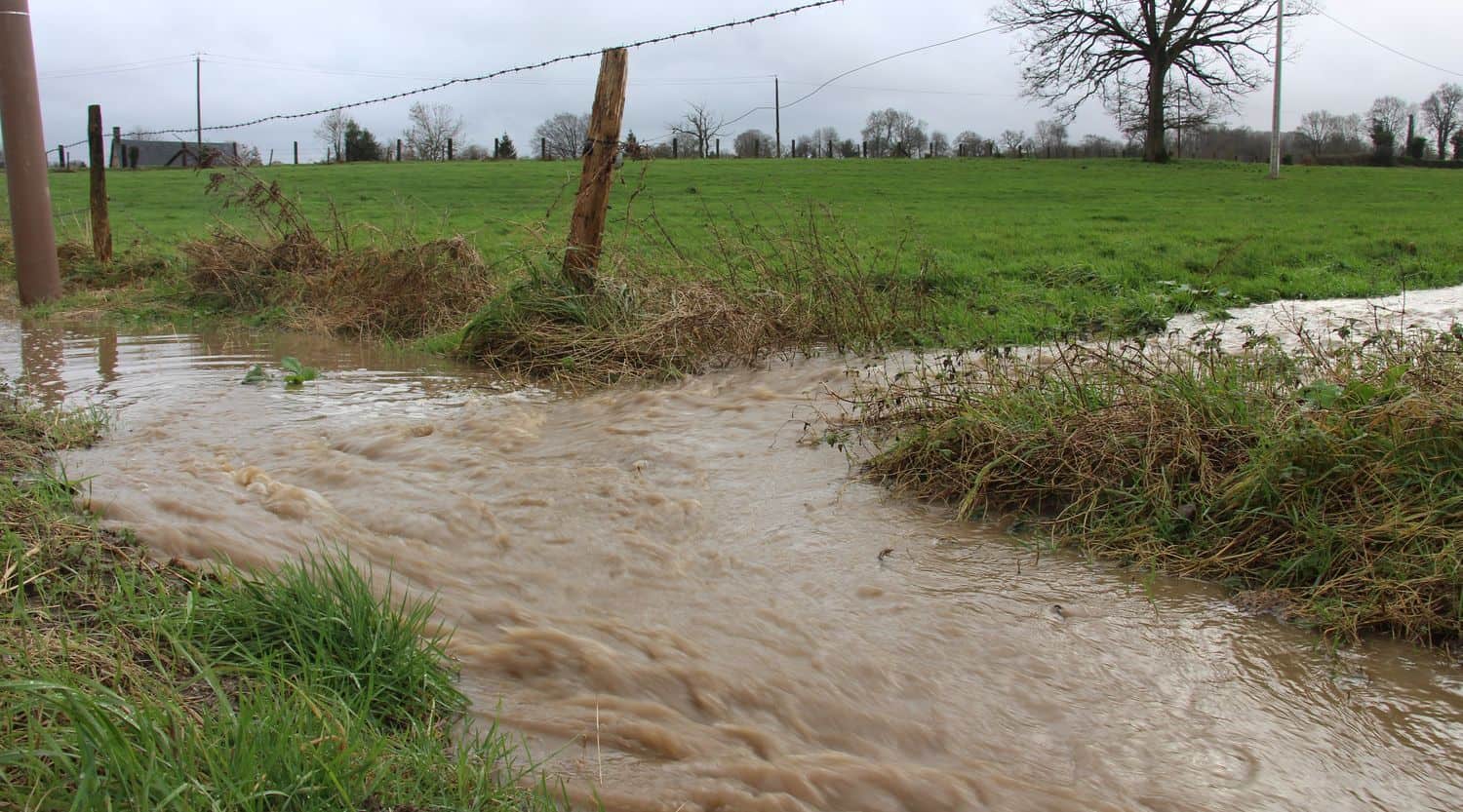 Nappes phréatiques 2024 des niveaux audessus des normales