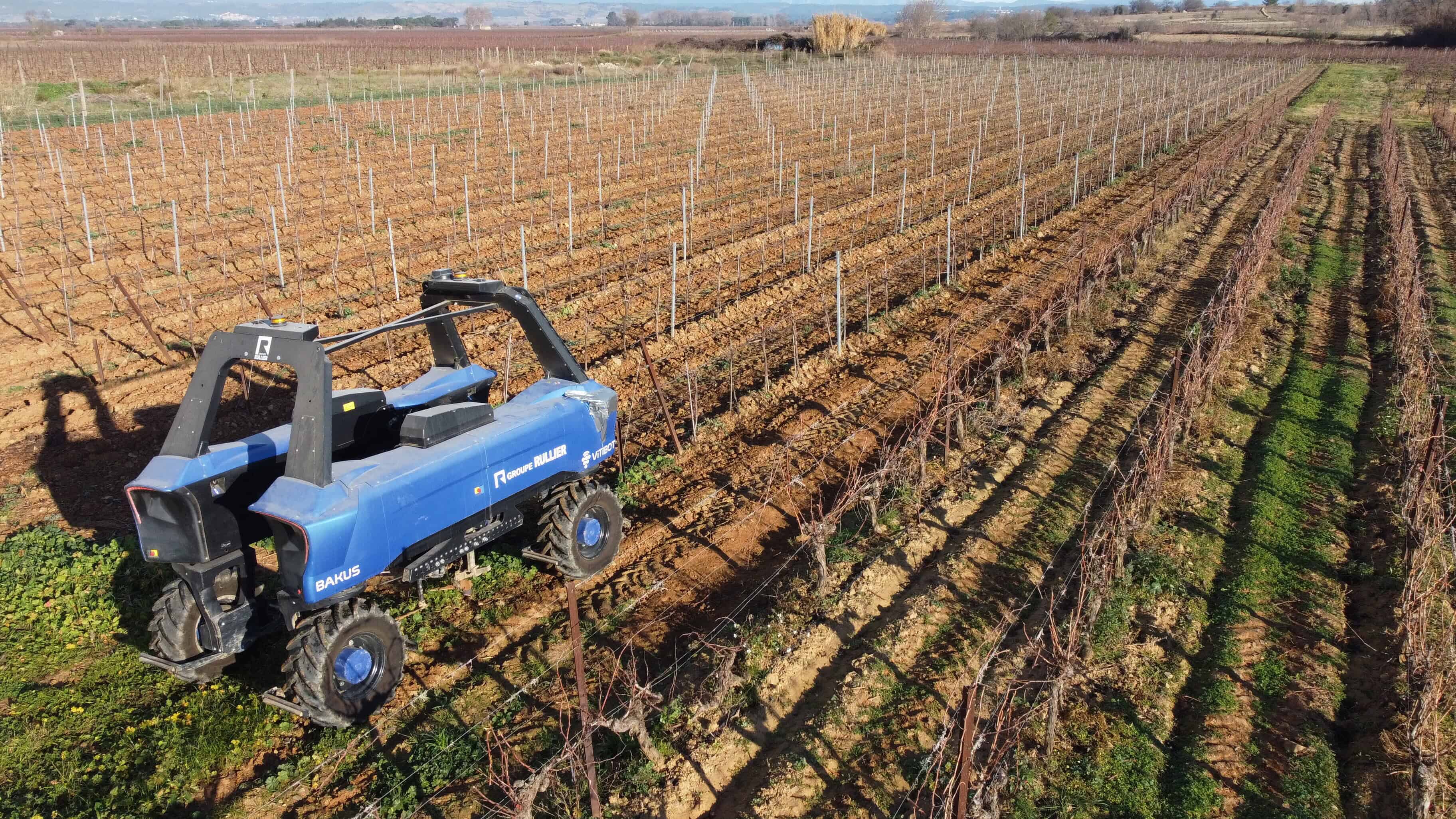 La cuma la Vigneronne réalise sa première campagne de désherbage mécanique sur le rang avec le robot Bakus du constructeur Vitibot.