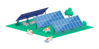Agrivoltaïsme : qui aura droit à sa part de soleil ?