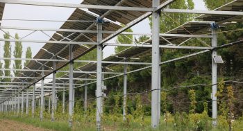 L’agrivoltaïsme vu comme un outil pour la protection des cultures