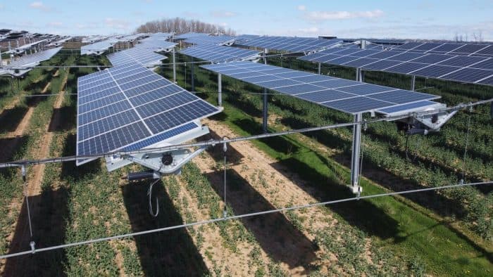 canopée TSE Energy