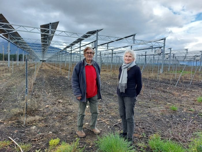Les Escudié ont choisi le vitivoltaïsme pour leur domaine viticole