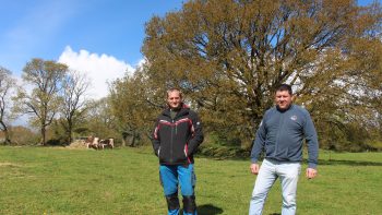 Comment la coop Bocagénèse valorise le bois des haies