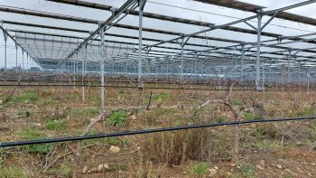 « Maintenance plus entretien pour pérenniser son goutte-à-goutte »