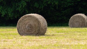 Agriculteur… et banquier