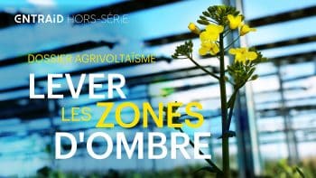 Agrivoltaïsme en France : de l’antagonisme à la symbiose