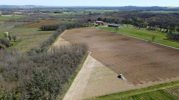 Quand les coopératives investissent dans les fermes pour sécuriser l’avenir