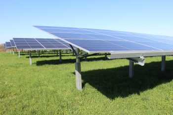 Des ombrières pour améliorer le système fourrager et pérenniser l’élevage