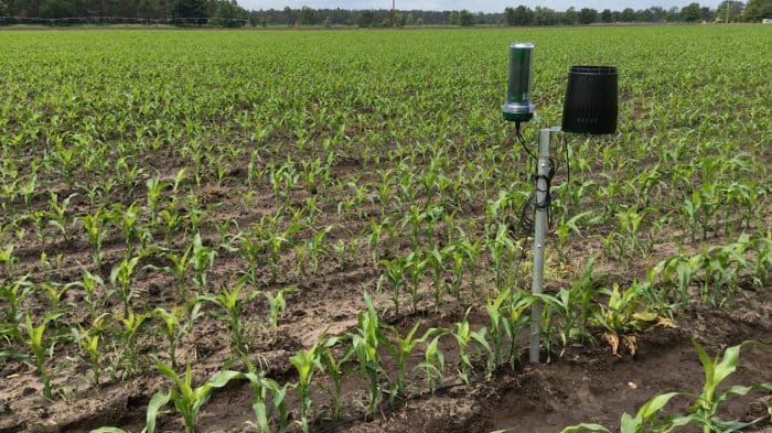 sonde pour irrigation Corhize