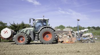 Semis de maïs 2025 : ça lève pour ceux qui ont pu semer dans le Sud-Ouest