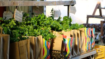 Souveraineté alimentaire: la situation se tend