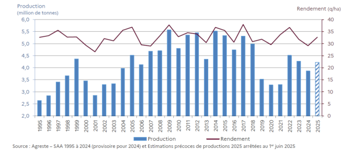 rendement colza 1995 à 2025