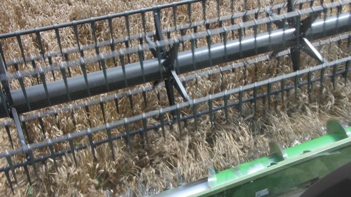 Conditions sèches : régler la moissonneuse pour une récolte en douceur.
