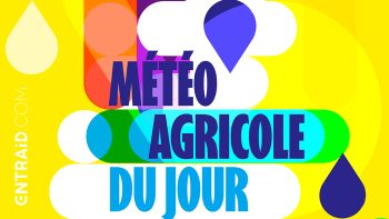 Météo agricole du jour : vos prévisions en un coup d’œil