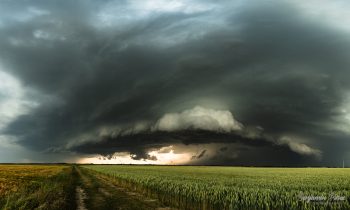 Des dégâts localement importants après les orages de grêle en Normandie
