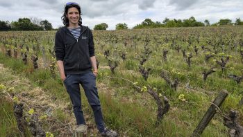 Robin Euvrard, artisan de la régénération des vignes
