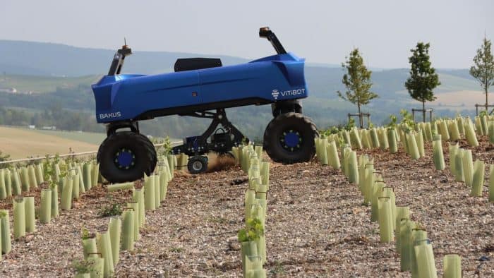 robotique viticole