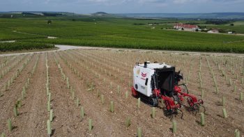 La robotique viticole pour mécaniser l’impossible