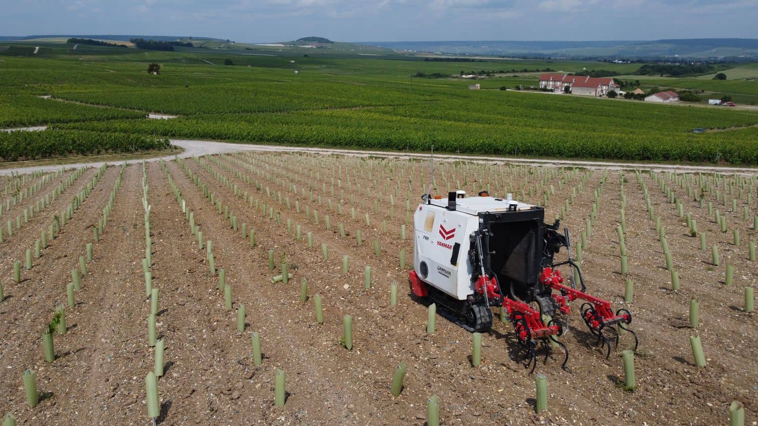robotique viticole