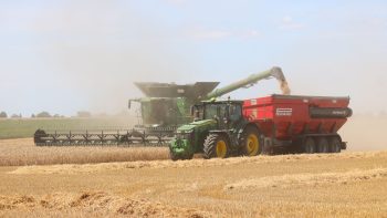 Rendements et productions 2025 en hausse pour l’orge et le colza d’hiver ?