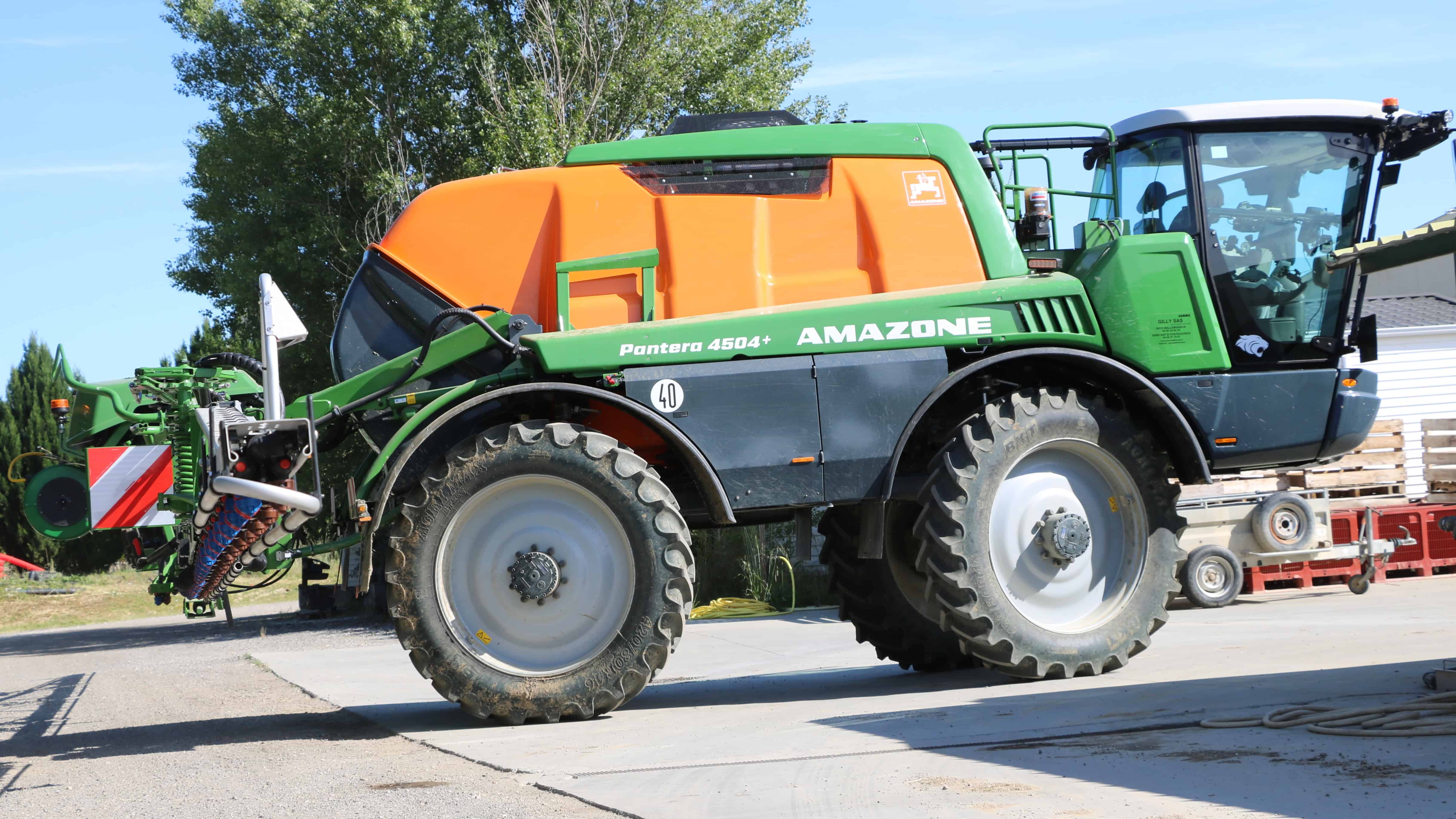 avis Amazone Pantera 4504